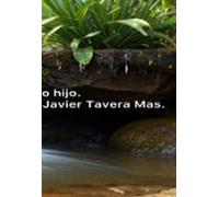 Su Único Hijo. (ebook)