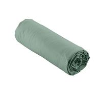 Suave Interior, Sábana Bajera (160 x 200 cm) Percaline Tilleul, Percal de Algodón