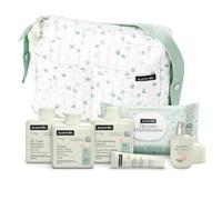 Suavinex, Bolso Carro Bebé con Cosmética, Ideal Regalo Recién Nacido, Azul | Canastilla con: Gel Syndet + Champú Extra Suave + Loción Hidratante + Pomada Pañal 30 ml + Baby Cologne 50 ml + Toallitas
