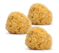Suavinex, Pack de 3 Esponjas Naturales para Bebé, Tamaño Grande, Esponjas Marinas 100% Naturales, Suaves y Absorbentes, Esponjas Aptas Bebés Recién Nacidos y para toda la Familia, 3 uds