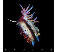 Sub Focus - Evolve [Vinilo]