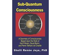 Sub-Quantum Consciousness: A Geometry of Consciousness Based Upon the Work of Karl Pribram, David Bohm, and Pierre Teilhard De Chardin