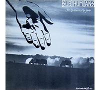 Subhumans - From the Cradle to the Grave (Remaster) [Vinilo]