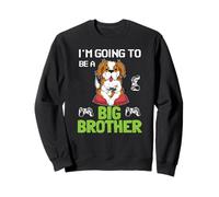 Subiendo de nivel a Gran Hermano Hermano Voy a Ser Un Gran Hermano Sudadera
