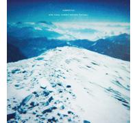Submotile One Final Summit Before the Fall (Vinyl) 12" Album