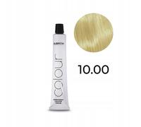 Subrina professional, permanent colour, permanent hair dye, 10.00 natu
