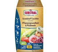 Substral - Tela Universal para Eliminar Hongos, Color Verde