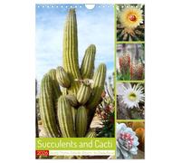 Succulents and Cacti - Strong Thorns, Delicate Blooms (Wall Calendar 2026 DIN A4 portrait), CALVENDO 12 Month Wall Calendar: A look at the beauty of thorny sun worshippers