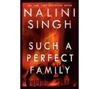 Such A Perfect Family (ebook)