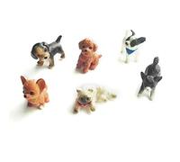 SUCHUANGUANG 6 Piezas 1:12 Gato y Perro casa de muñecas Modelo en Miniatura casa de muñecas decoración de Musgo para el hogar