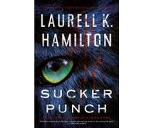 Sucker Punch (ebook)