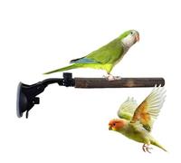 Suction Cup Bird Perch - 9.84 pulgadas Peony Cockatiel Tree Branch Wall Glass Përch | Suministros de cría de baño de entrenamiento de pared Perca interactiva para pájaros.