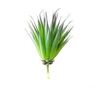 Suculentas artificiales de loto flocado para decoración del hogar, jardín, PVC ecológico + material de polietileno, perfecto para oficina y estudio (MM567 (18 cm)