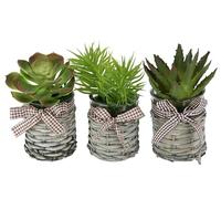 Suculentas Artificiales en Maceta, Juego de 3 Unidades, 15 cm, Agave Aloe Vera, Cactus Artificial, Cactus, Planta Decorativa, Planta Verde Kalanchoe, Planta de Interior, Planta de Mesa, Planta