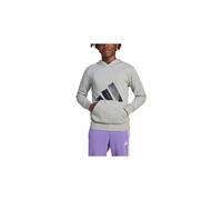 Sudadera adidas big logo french terry hd infantil gris 9 - 10 AÑOS