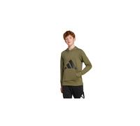 adidas Unisex niños Essentials Big Logo Hoodie, Olive strata/Black, 11-12 Years