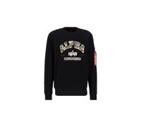 Sudadera Alpha Industries College S