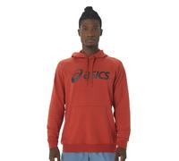 Sudadera Asics Big Oth Hoodie 2031a984