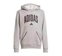 Sudadera Capucha Casual_Niño_ADIDAS Junior Collegiate Hoodie - 140