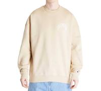 Sudadera Casual Champion Crewneck Sweatshirt - S