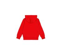 Sudadera champion hooded sweatshirt infantil 15 - 16 AÑOS