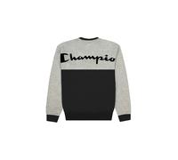 Sudadera champion spliced script logo print black L