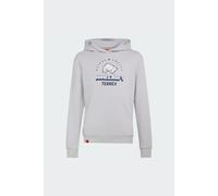 Sudadera Con Capucha adidas Minecraft Terrex adidas MKP