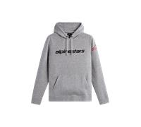 Alpinestars Linear Wordmark V3 Sudadera con capucha, gris, tamaño XL para Hombres