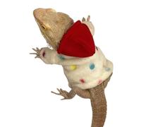 Sudadera con Capucha De Dragón Barbudo - Algodón De Franela, Suéter De Reptil De Algodón Ajustable Hecho A Mano, Camisa De Chaqueta Protectora Suave para Lagartos/Lagartos Accesorio De Ropa Cómodo P