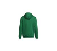 adidas Unisex niños Entrada 22 Sweat Hoodie, team green/white, 13-14 Years