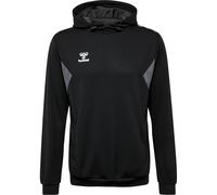 hummel Authentic PL Hoody Schwarz 3XL