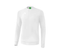 Sudadera con capucha Erima Basic M Male