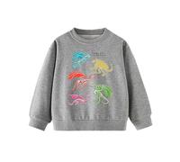 Sudadera con Capucha Estampado Dinosaurio Que Brilla Oscuridad para Ni?os Informal Cuello Redondo Ligera Cómoda.