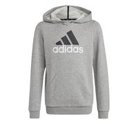 Sudadera con capucha grande para niños adidas Essentials Big Logo 7/8 ans Unisex