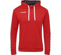 Sudadera con capucha Hummel hmlAUTHENTIC Poly 3XL