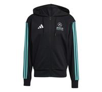 Sudadera con capucha Mercedes AMG Petronas Formula One Team DNA L