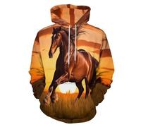 Sudadera con Capucha para Hombre y Mujer, Sudadera Divertida con Caballo Magnífico 3D Jersey de Manga Larga Puesta De Sol Sobre Una Vasta Pradera Ropa de Calle Camisetas de Gimnasio Informales