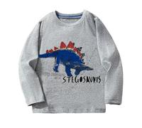 Sudadera con Capucha para Ni?os Estampado Dinosaurio Manga Larga Informal Cómoda Holgada Uso Diario Actividades Libre Ropa Oto?o Invierno.