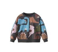 Sudadera con Capucha para Ni?os Estampado Dinosaurio Manga Larga Informal Peque?os Cómoda Holgada Oto?o Invierno Primavera.