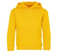 Sudadera con capucha para niños (unisex), de la marca Fruit of the Loom, Niños, color sunflower, tamaño 9-11 Años