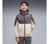 Sudadera con capucha PUMATECH Elevated juvenil, Ropa, Beige, 11-12Y