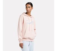 Sudadera con capucha Reebok Vector Graphic
