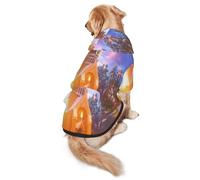 Sudadera con capucha Winter Under The Sunshine Dog - Ropa de poliéster suave y transpirable para perros medianos y grandes