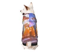 Sudadera con capucha Winter Under The Sunshine Dog - Ropa de poliéster suave y transpirable para perros pequeños, medianos y grandes