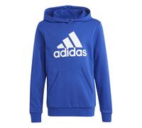 Sudadera con capucha y logotipo grande de algodón para niños adidas Essentials 15/16