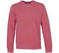 Sudadera cuello redondo Colorful Standard Classic organic XL