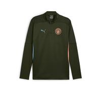 Sudadera puma manchester city hombre verde S