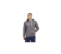 adidas Hombre Entrada 22 Sweat Hoodie, Team Grey Four, S