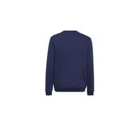 adidas Unisex niños Entrada 22 Sweat Top, Team Navy Blue 2, 7-8 Years