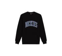 Sudadera Dickies Aitkin L